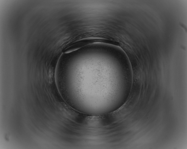 X0000093210082200709261605