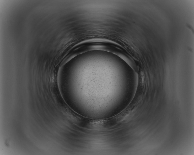 X0000093210084200709261605