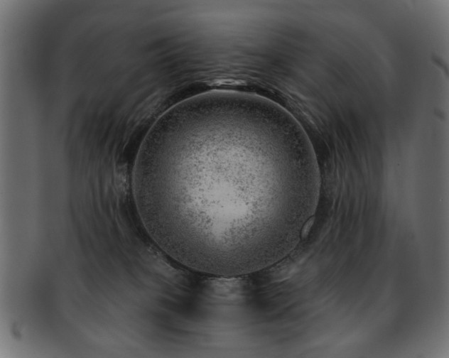 X0000093210085200709261605