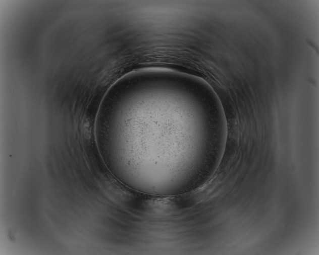 X0000093210086200709261605