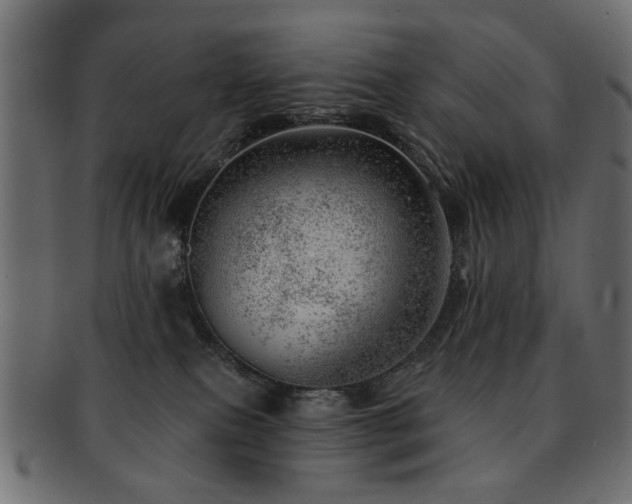 X0000093210087200709261605