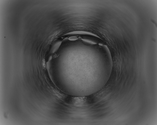 X0000093210089200709261605