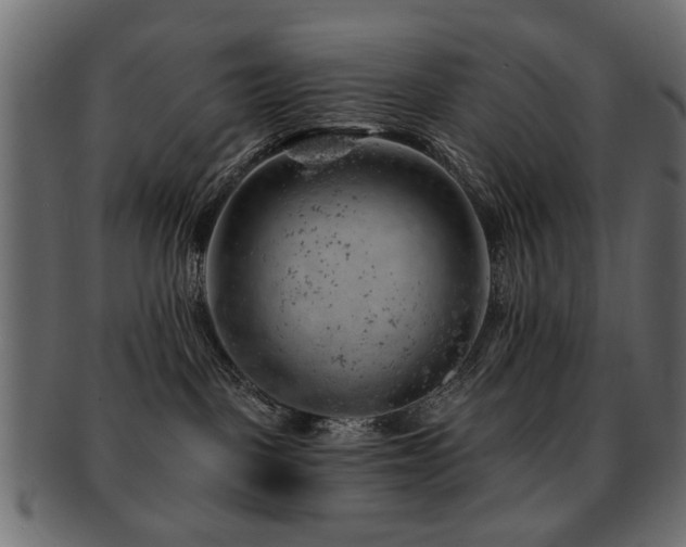 X0000093210093200709261605