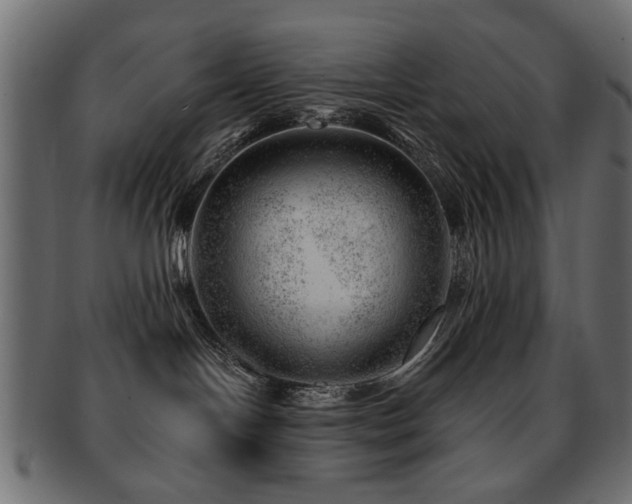 X0000093210094200709261605