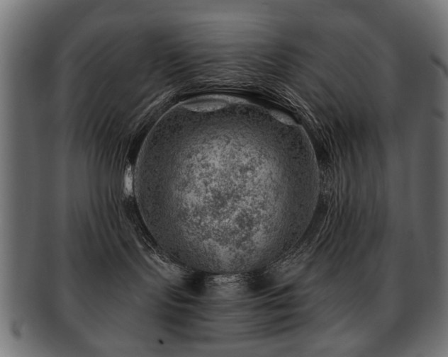 X0000093210095200709261605