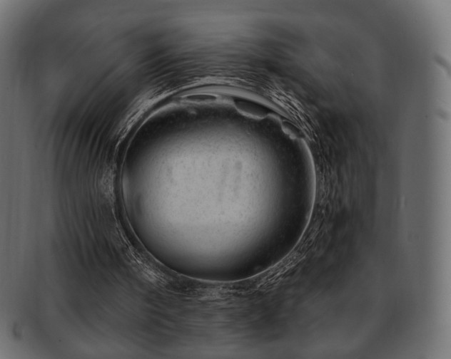 X0000093210098200709261604