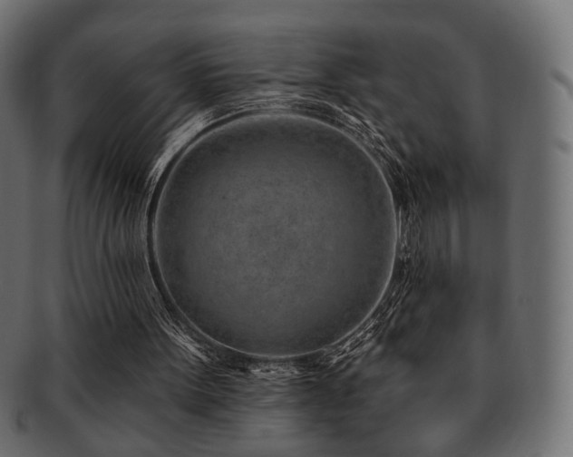 X0000093210099200709261604