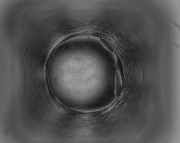 X0000093210100200709261604