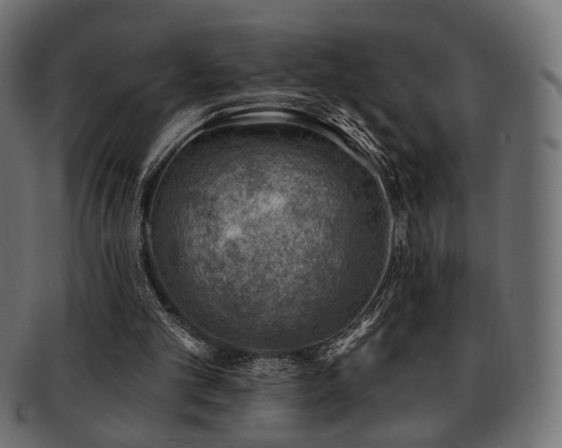 X0000093210101200709261604