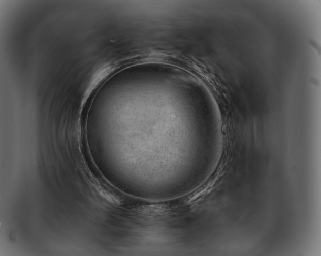X0000093210102200709261604