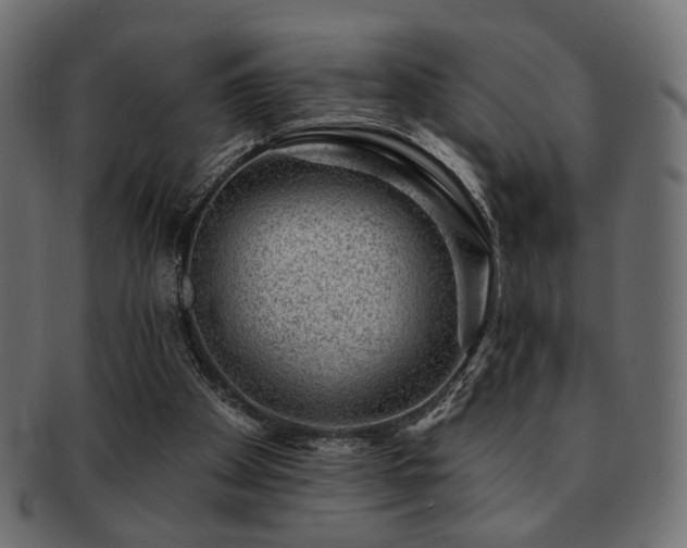 X0000093210105200709261604