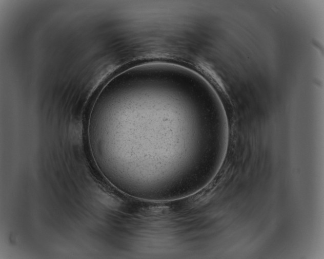 X0000093210108200709261604