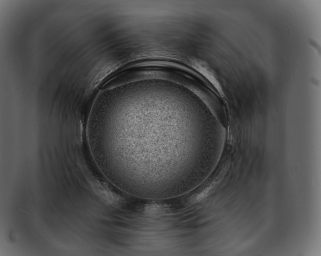 X0000093210109200709261604