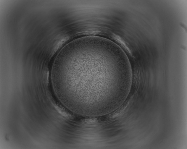 X0000093210110200709261604