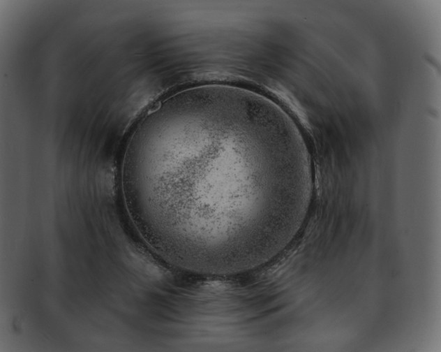 X0000093210111200709261604