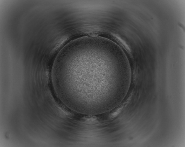 X0000093210113200709261604