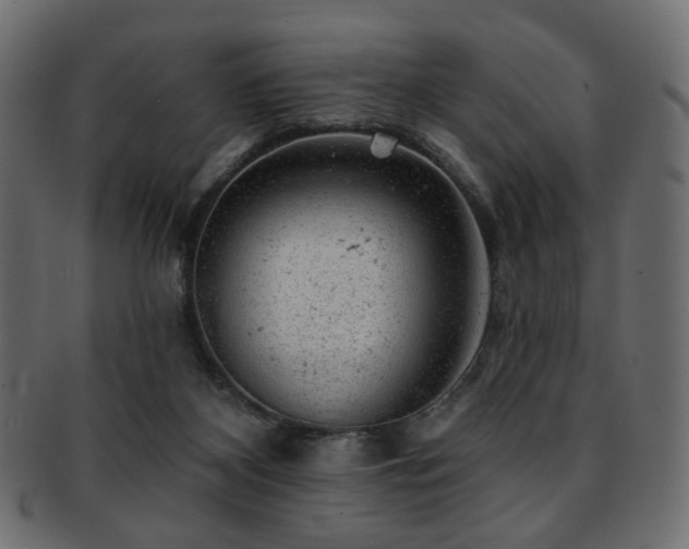 X0000093210116200709261604