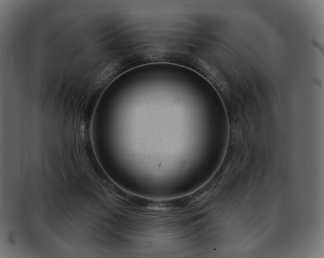 X0000093210117200709261604