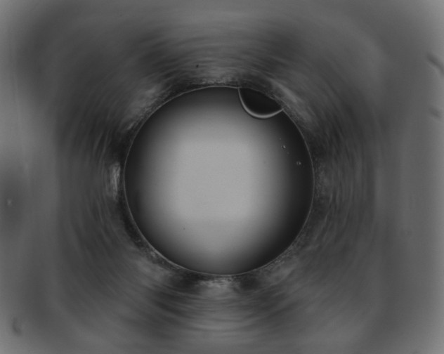 X0000093210118200709261604