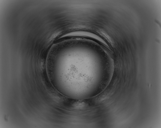 X0000093210119200709261604
