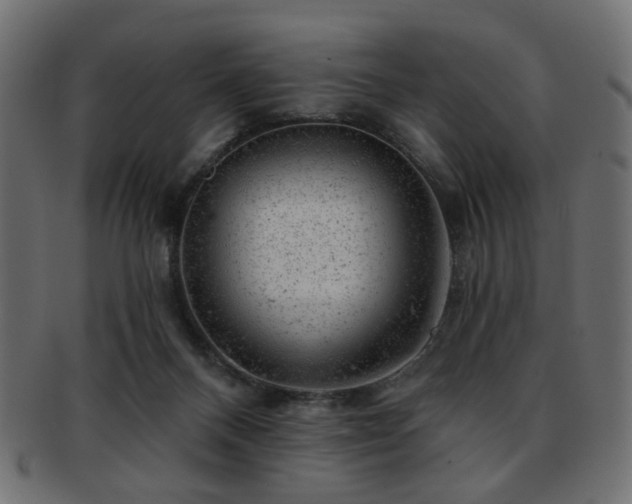 X0000093210120200709261604
