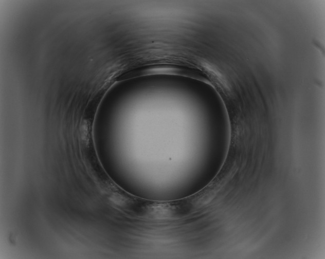 X0000093210121200709261604
