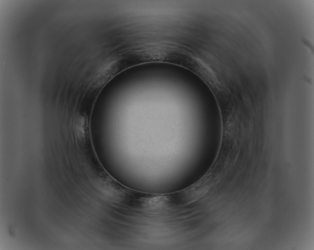 X0000093210122200709261604