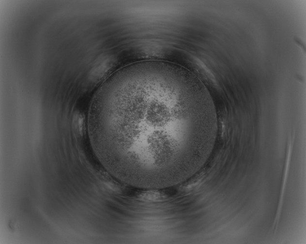 X0000093210123200709261604