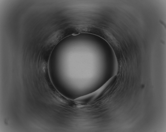 X0000093210125200709261604