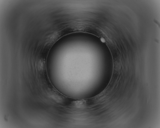 X0000093210126200709261604