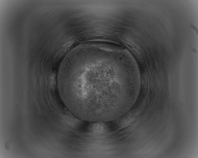 X0000093210127200709261604