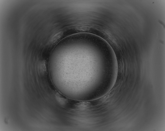 X0000093210128200709261604