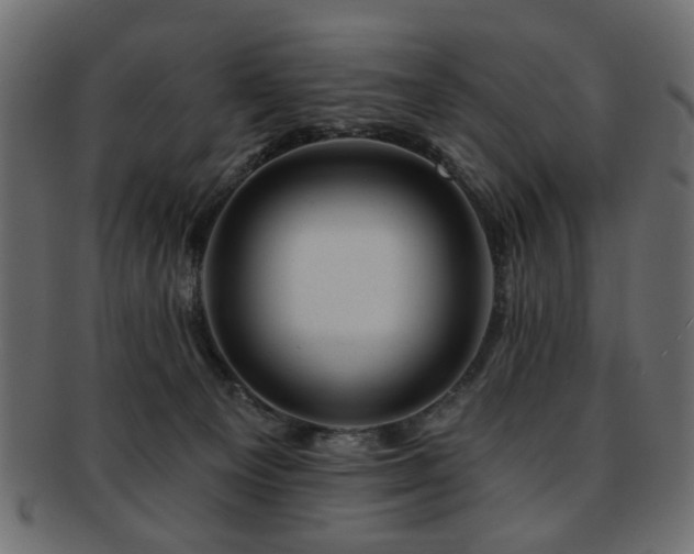 X0000093210129200709261604