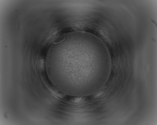 X0000093210130200709261604