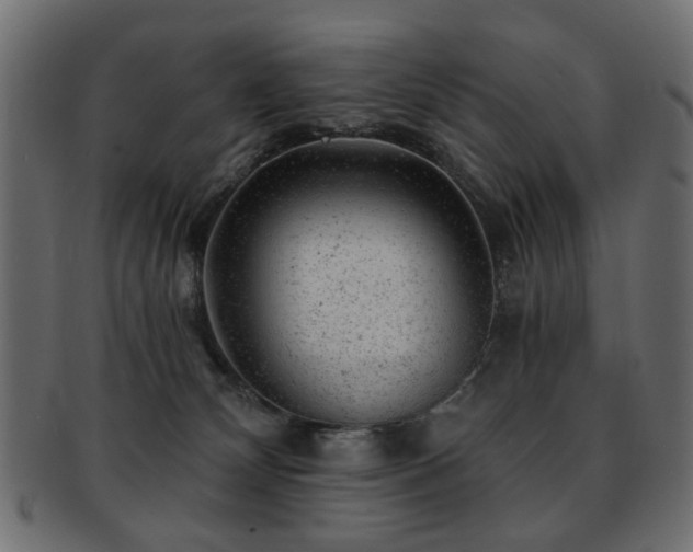 X0000093210132200709261604