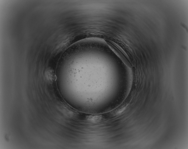 X0000093210135200709261604