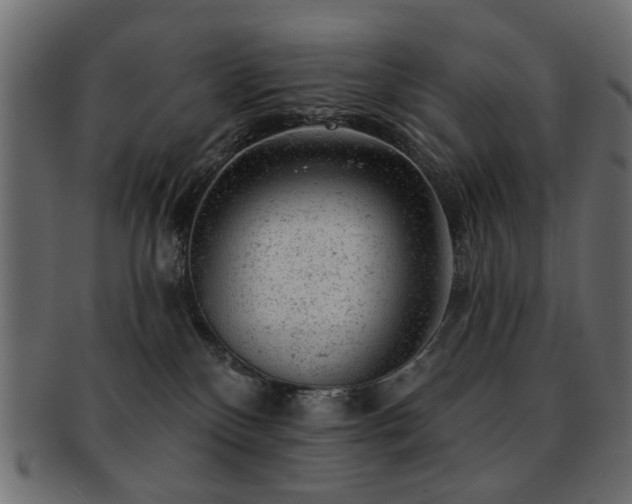 X0000093210136200709261604