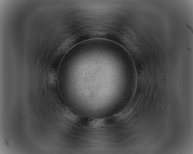 X0000093210138200709261604