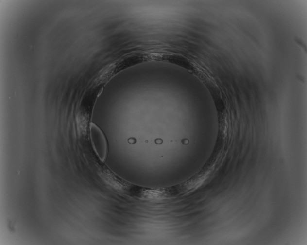 X0000093210139200709261604