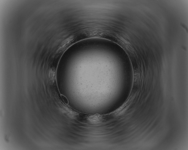 X0000093210142200709261604