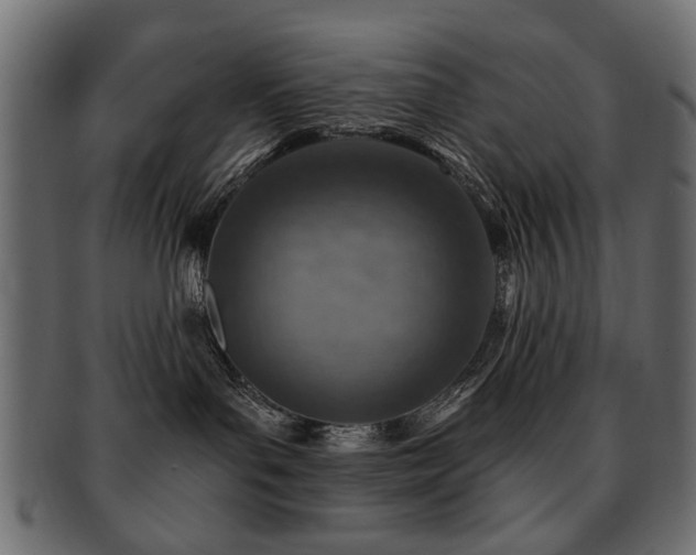 X0000093210143200709261604