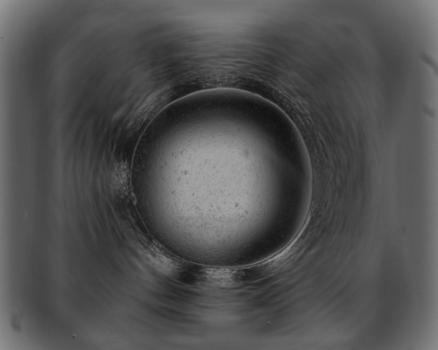 X0000093210144200709261604