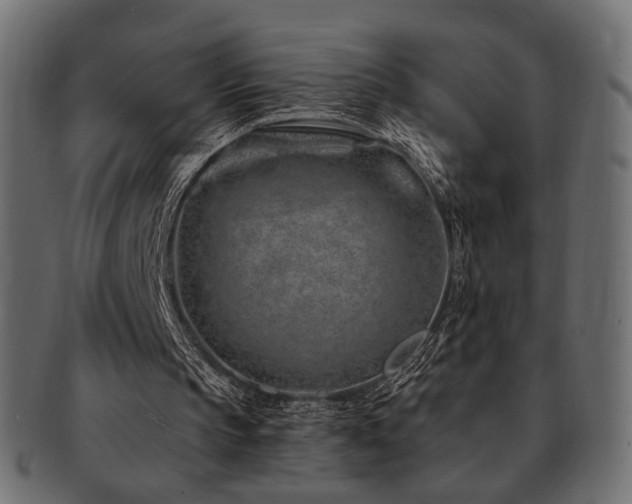 X0000093210145200709261603