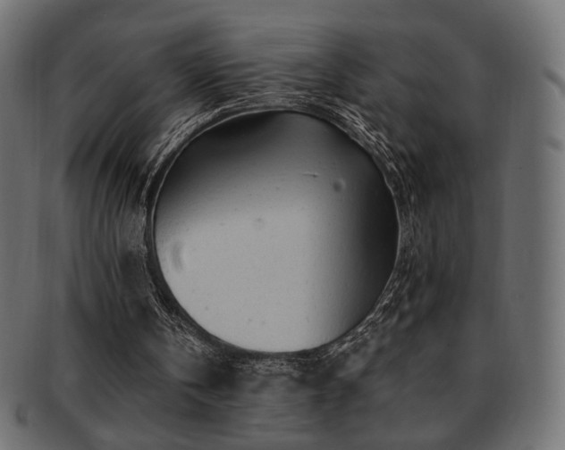 X0000093210146200709261603