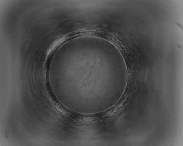 X0000093210149200709261603