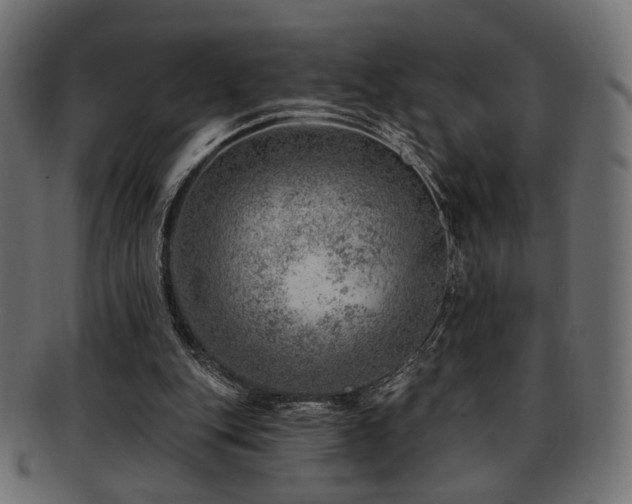 X0000093210151200709261603
