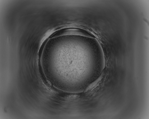 X0000093210152200709261603