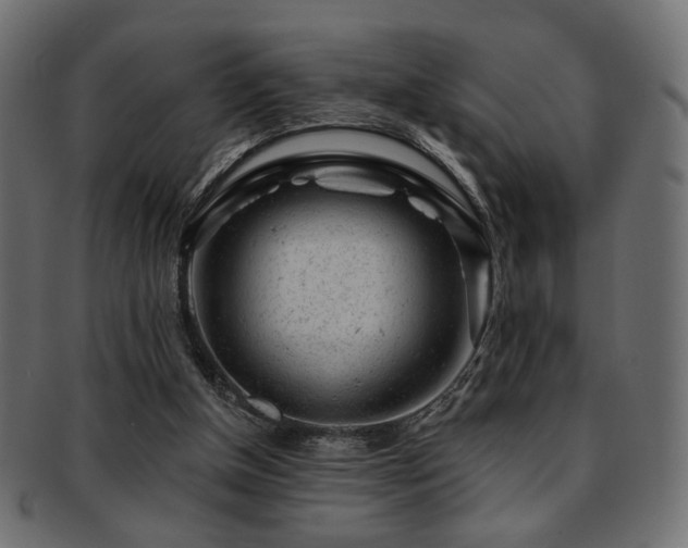 X0000093210154200709261603