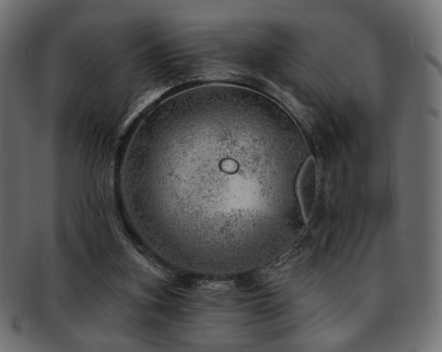 X0000093210155200709261603