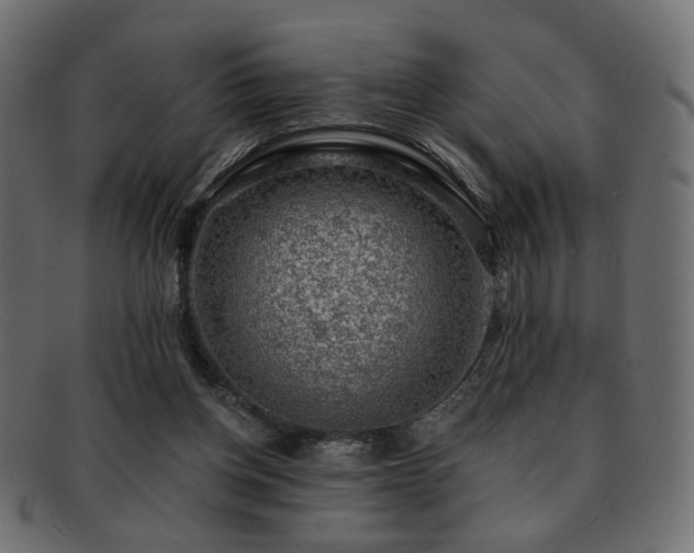 X0000093210158200709261603